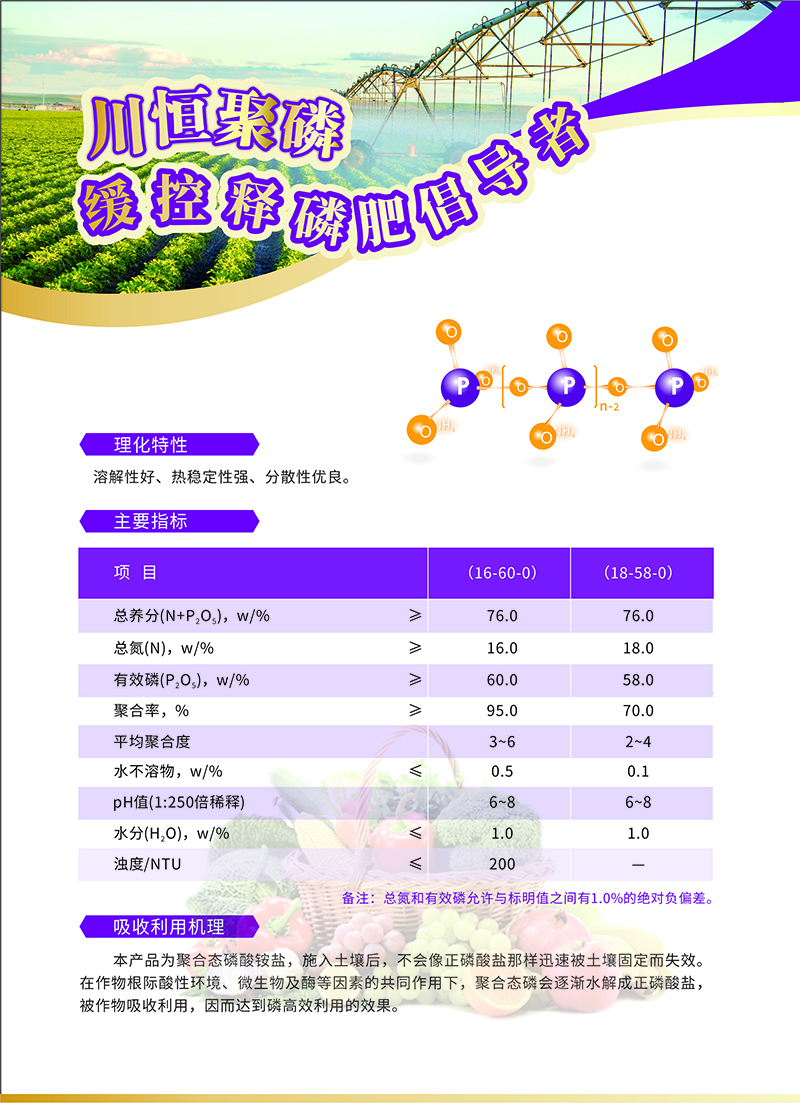 APP宣传折页-1
